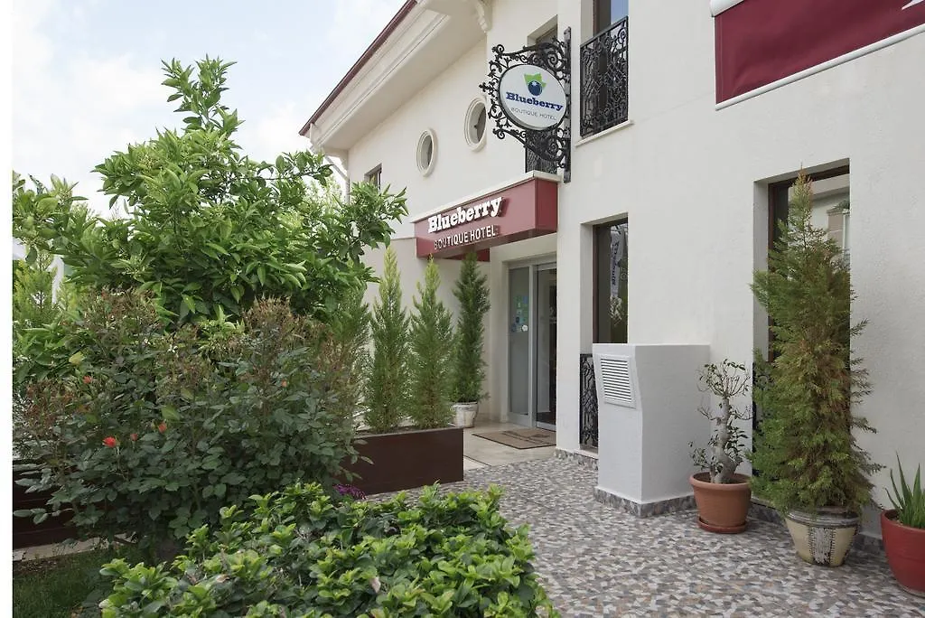 Blueberry Boutique Hotel Fethiye 4*,  Turkey
